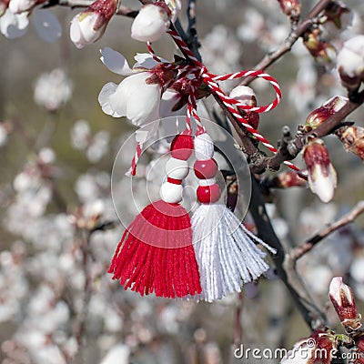 Spring background with white blossom and Bulgarian spring symbol martenitsa. Spring flowers and martisor. Greeting card Stock Photo