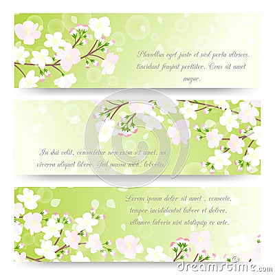 Spring banners with blossoming tree brunch Vector Illustration