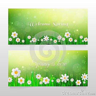 Spring banners with grass and white flowers Vector Illustration