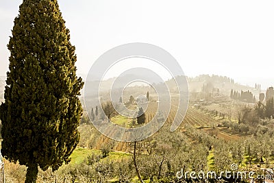 Spring beautiful landscape, early morning in Tuscany, Italy Stock Photo