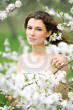 Spring beauty Stock Photo