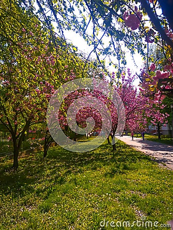 Spring is the best season in the year Stock Photo