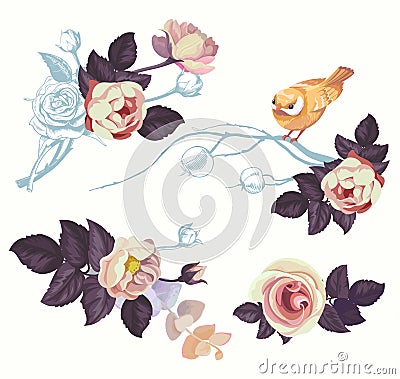 Spring Bird Flower Branch Watercolor Decoration Kit. Floral Summer Abstract Rose Bouquet with Nightingale. Romantic Twig Vector Illustration