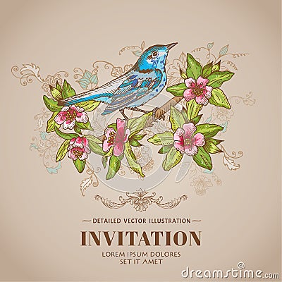 Spring Bird Illustration Card Vector Illustration