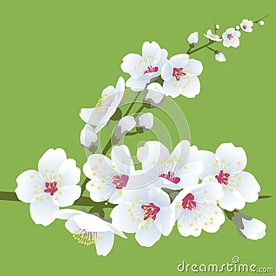 Spring blooming Vector Illustration