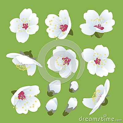 Spring blooming Vector Illustration