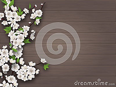 Spring blooming cherry branch on old wooden background. Vector Illustration
