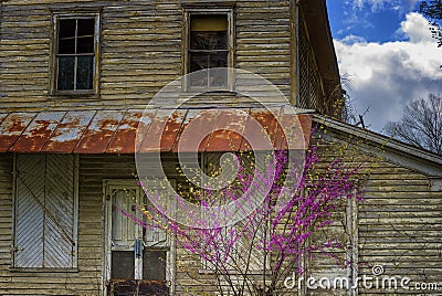 Spring blooming shrubs in front of an abandoned building Stock Photo