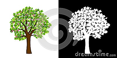 Spring blooming tree isolated vector Stock Photo