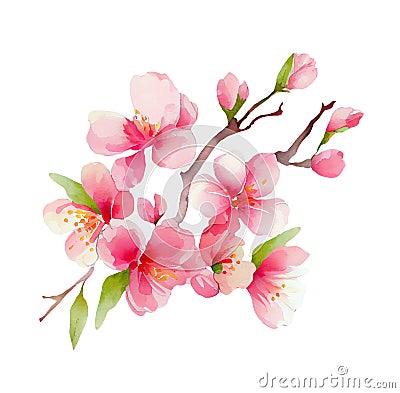 Spring blooming Twig. Pink cherry blossoms flowers. watercolor illustration Cartoon Illustration