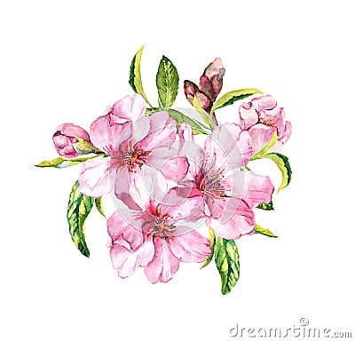 Spring blossom - bouquet of pink sakura, cherry flowers. Springtime floral watercolour Stock Photo