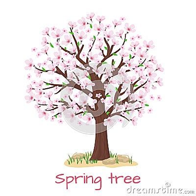 Spring blossom cherry tree vector Vector Illustration