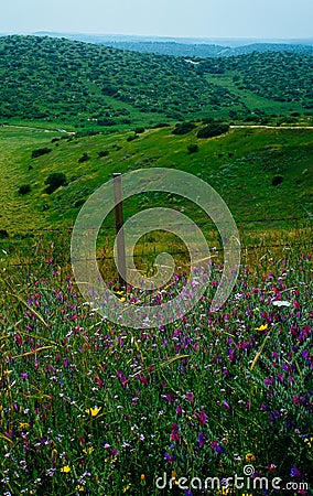 Holy Land Series- Gad Hill14 Stock Photo
