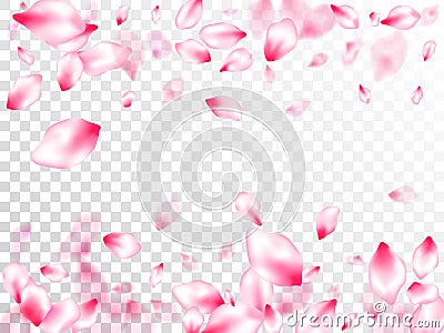 Spring blossom isolated petals flying Vector Illustration