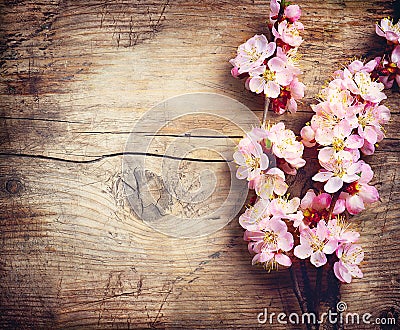 Spring Blossom Stock Photo