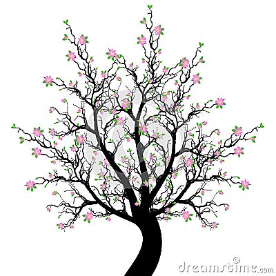 Spring Blossom Tree Stock Photo