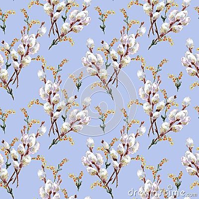 Spring, blossoming pussy-willow , watercolor Stock Photo