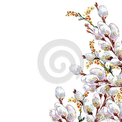 Spring, blossoming pussy-willow , watercolor Stock Photo