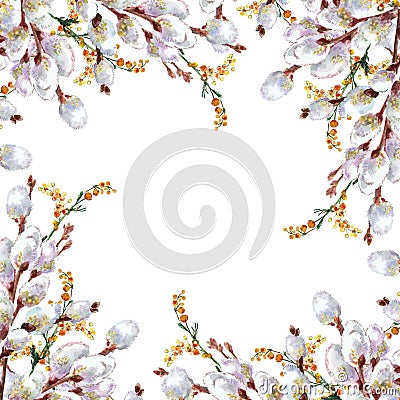 Spring, blossoming pussy-willow , watercolor Stock Photo