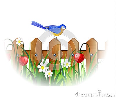 Spring blue bird Vector Illustration