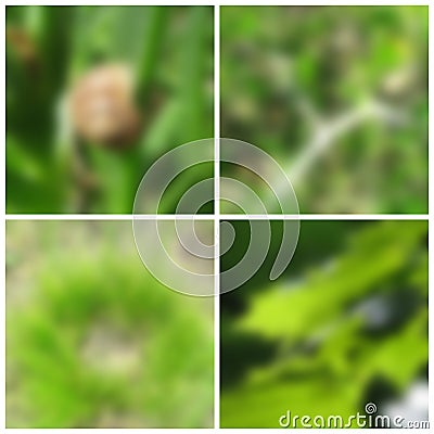 Spring blurred backgrounds Vector Illustration