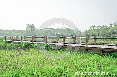 Spring Boardwalk path Stock Photo