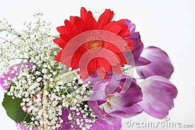 Spring bouquet Stock Photo