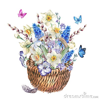 Spring bouquet with daffodils in the wicker Cartoon Illustration