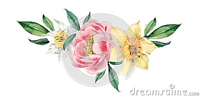 Spring bouquet peony and daffodils, watercolor illustration. Cute card, invitation, poster. Cartoon Illustration