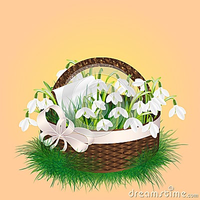 Spring bouquet of snowdrop flowers Vector Illustration