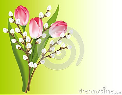 Spring bouquet. Tulips and willow Vector Illustration