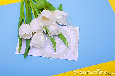 Spring bouquet of white tulips with green leaves Stock Photo