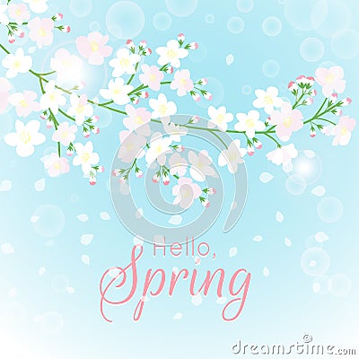 Spring branch card. Blossoming tree brunch with flowers vector Vector Illustration