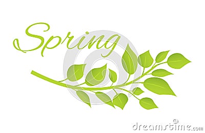 Spring and Tree Branch with Green Leaves on Poster Vector Illustration