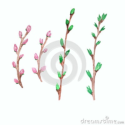 Hand drowning watercolor spring branches Stock Photo