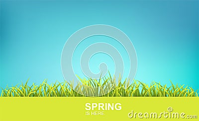 Spring Bright Background Vector Illustration