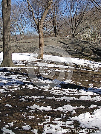 Spring in Central Park Stock Photo