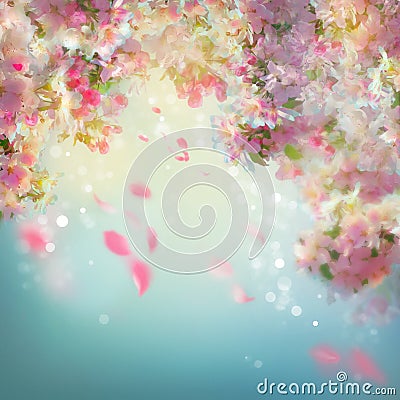 Spring Cherry Blossom Background Stock Photo