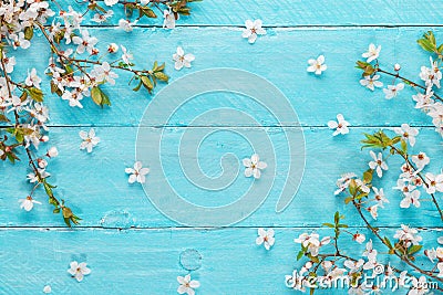 Spring cherry blossom flowers on blue wooden table. top view. flat lay. wedding or mothers background Stock Photo