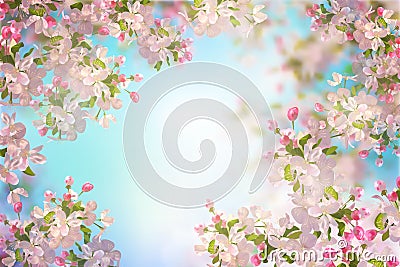 Spring Cherry Blossom Vector Illustration