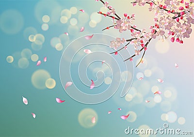 Spring Cherry Blossom Vector Illustration