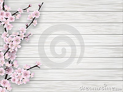 Spring cherry pink flower on white old wood background Vector Illustration