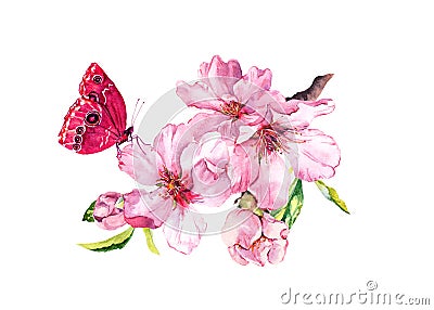 Spring cherry, sakura flowers or pink apple blossom and butterfly. Flourish water color Stock Photo