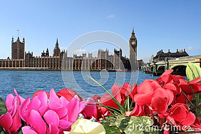 Spring colors of London. Flowers, sky, Parliament Stock Photo