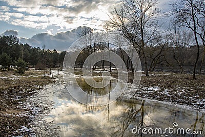 Spring comes to the river bank. Winter ends landscape with trees near river Stock Photo