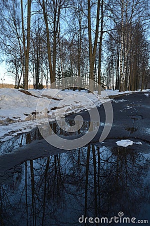 Spring is coming, the month of March. Alley in the park with melting snow, puddles and ice on a sunny spring day Stock Photo