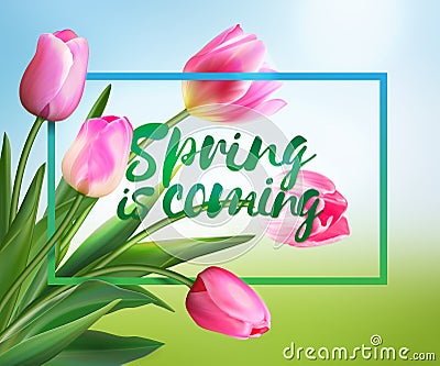 Spring is coming tulips flowers background with lettering. Vector EPS 10. Vector Illustration