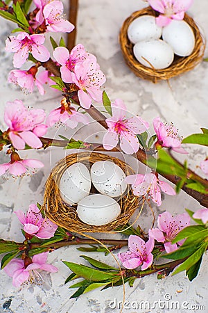 Spring conceptual photo with flowers. Flat lay blooming tree, easter eggs. The tree blooms pink and the eggs in the nest and copy Stock Photo