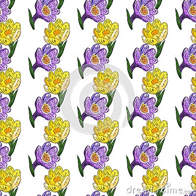 Spring Crocuses seamless pattern in vector. Vector Illustration