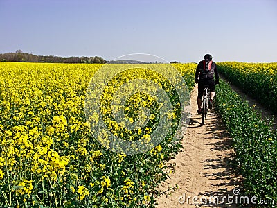 Spring cycling Stock Photo